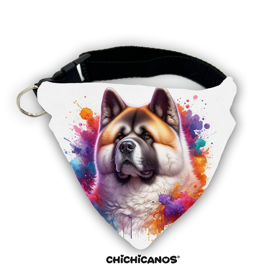 Bandana race de chien