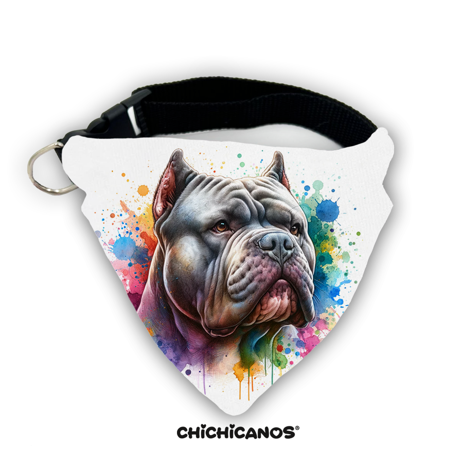 Bandana race de chien