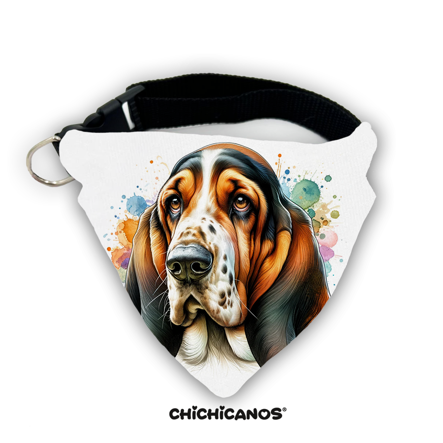 Bandana race de chien