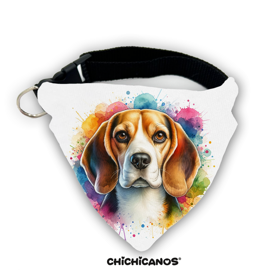 Bandana race de chien