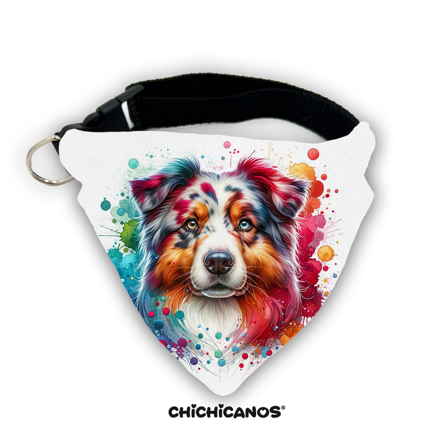 Bandana race de chien
