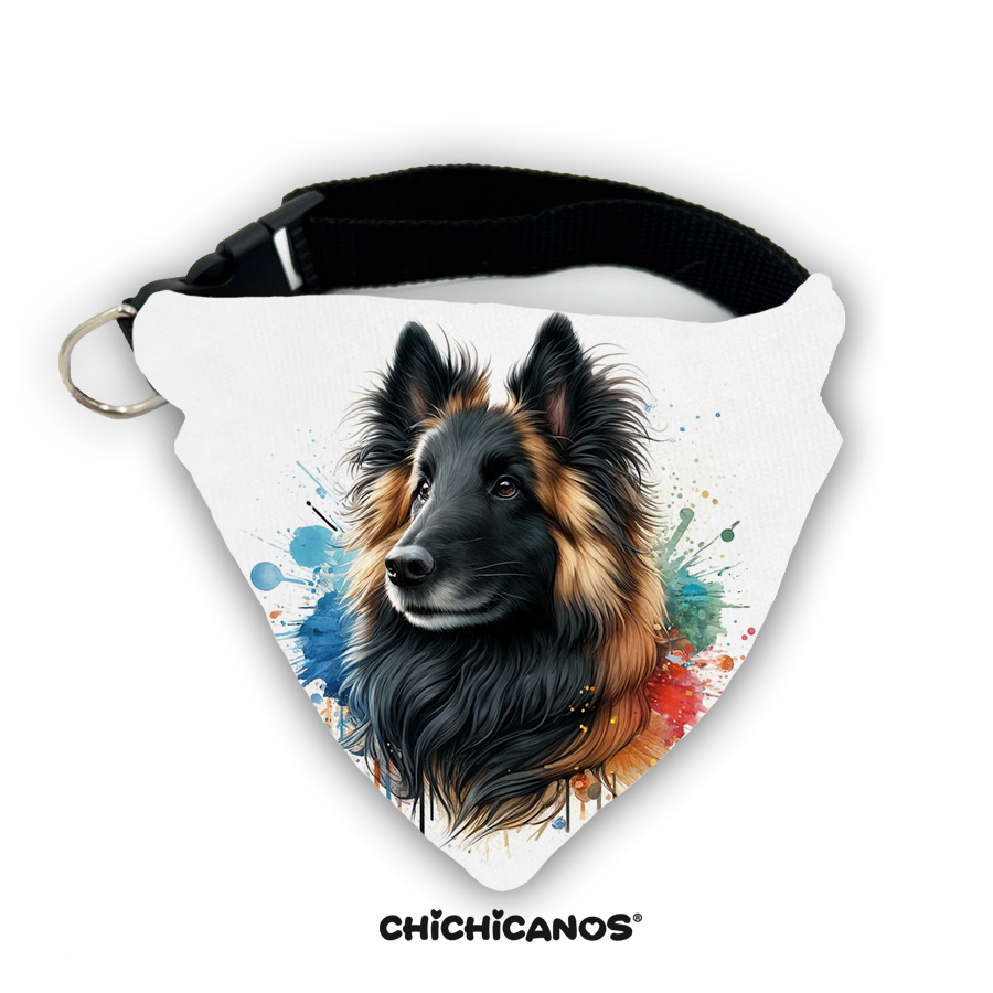 Bandana race de chien