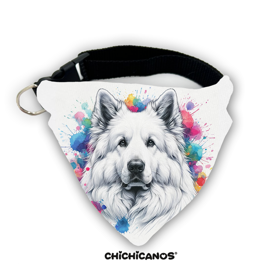 Bandana race de chien
