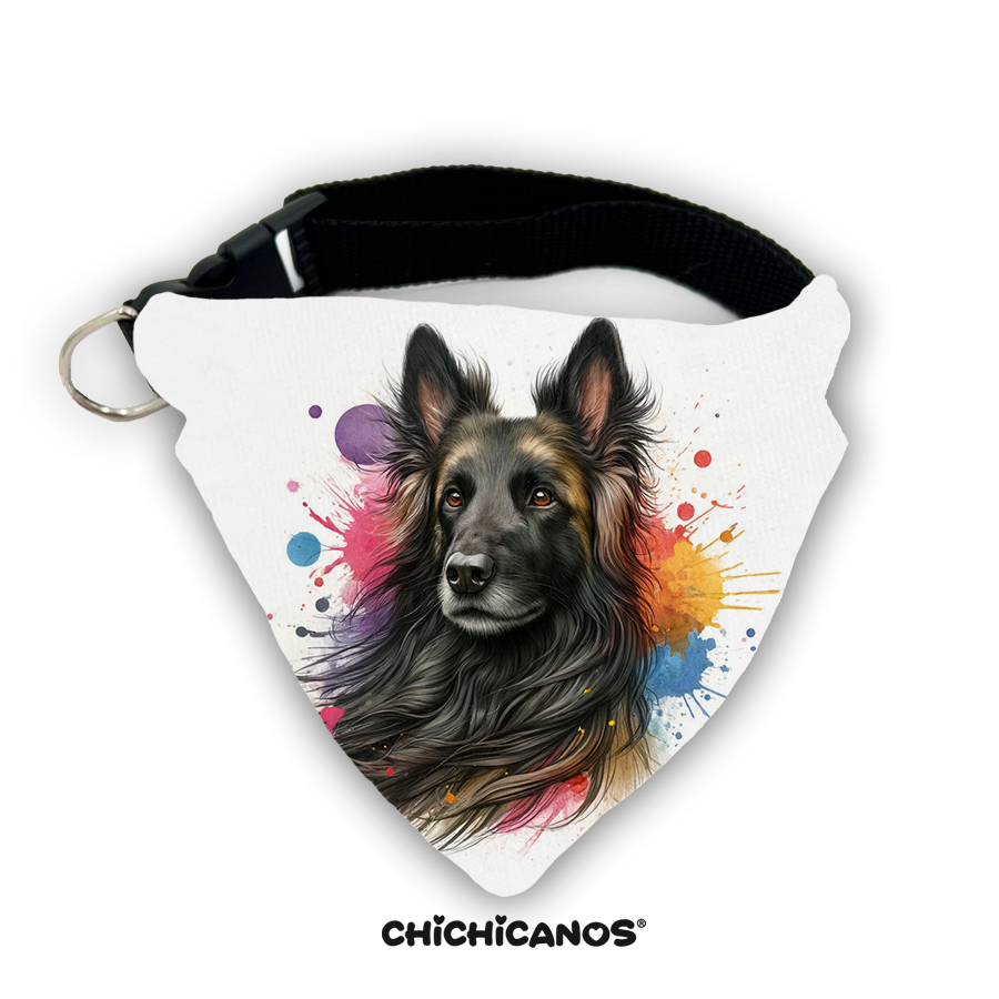 Bandana race de chien
