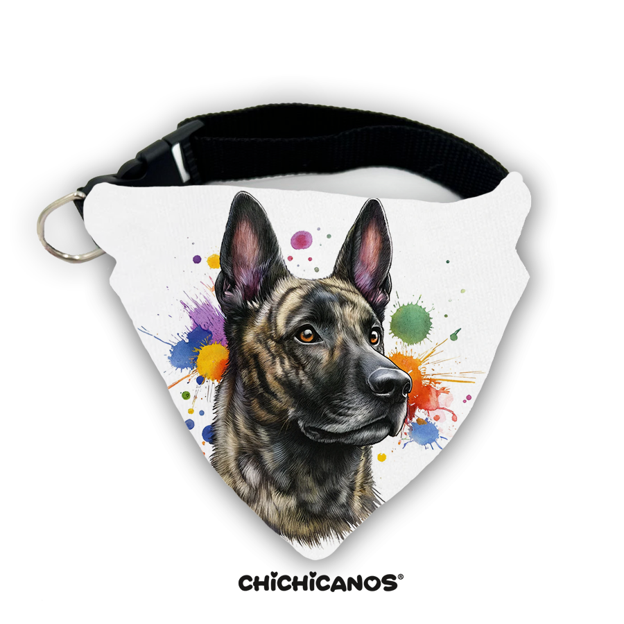 Bandana race de chien