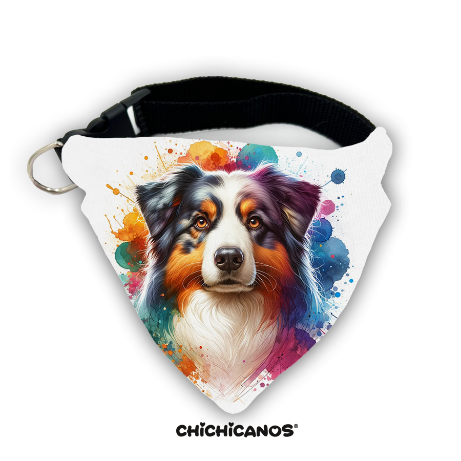 Bandana race de chien