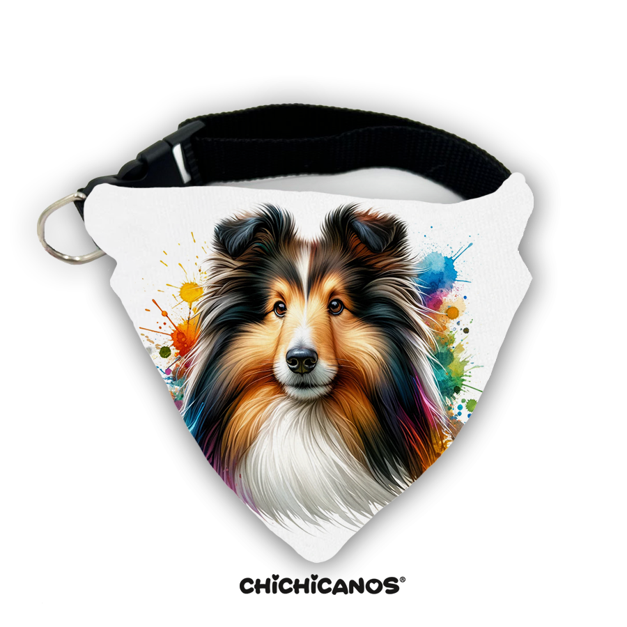 Bandana race de chien