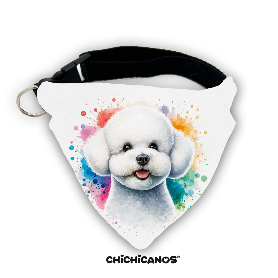 Bandana race de chien