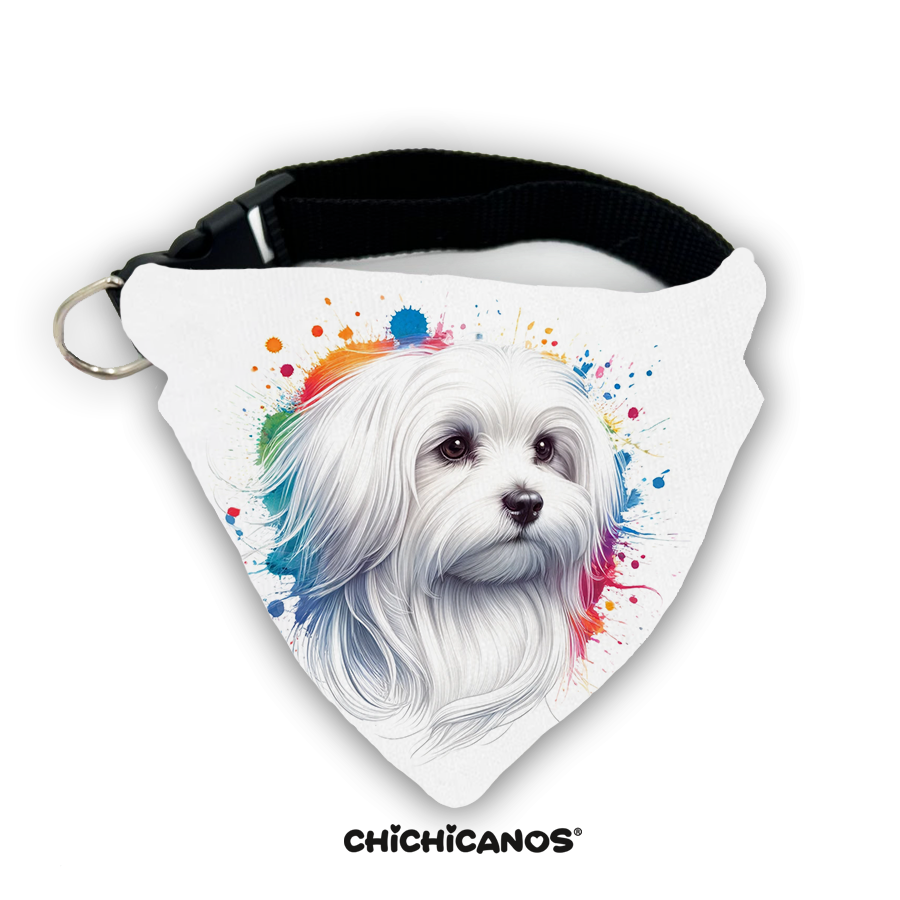 Bandana race de chien