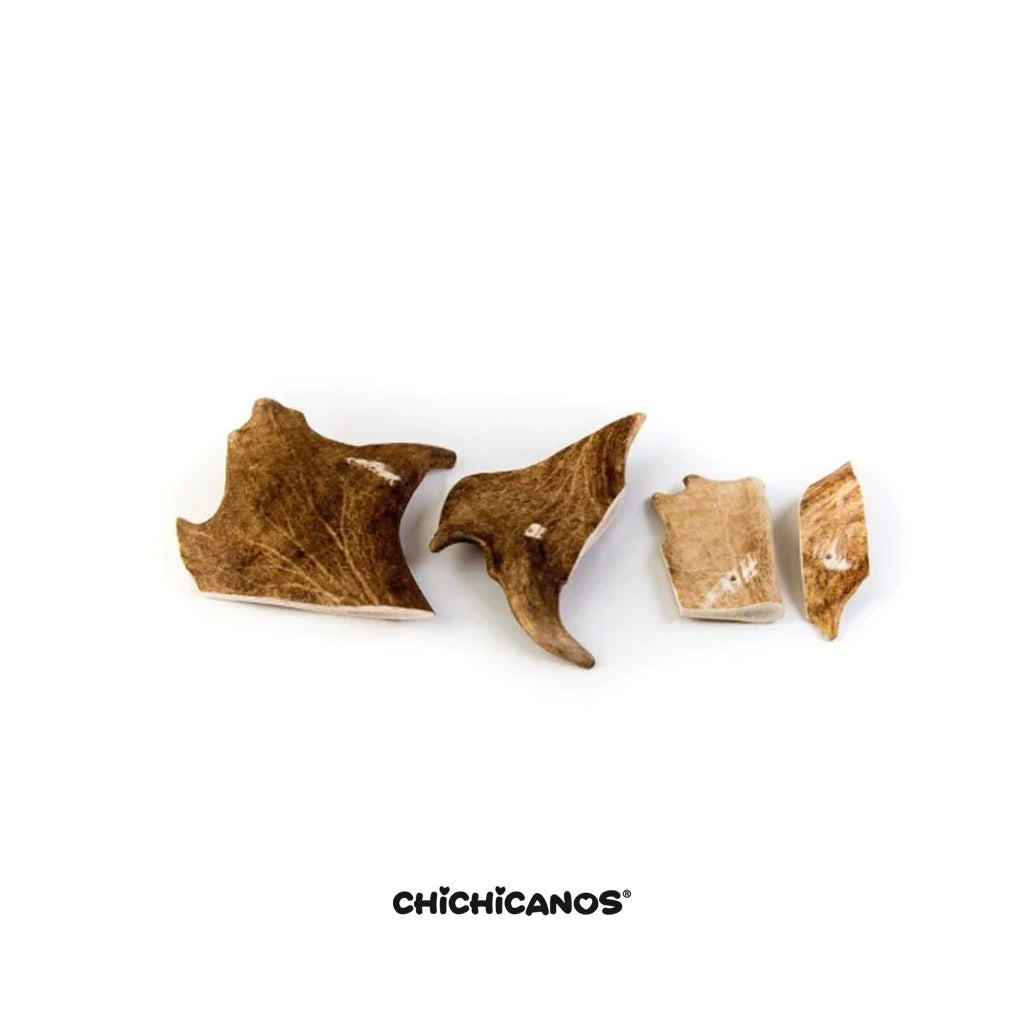 Bois de daim pour chien