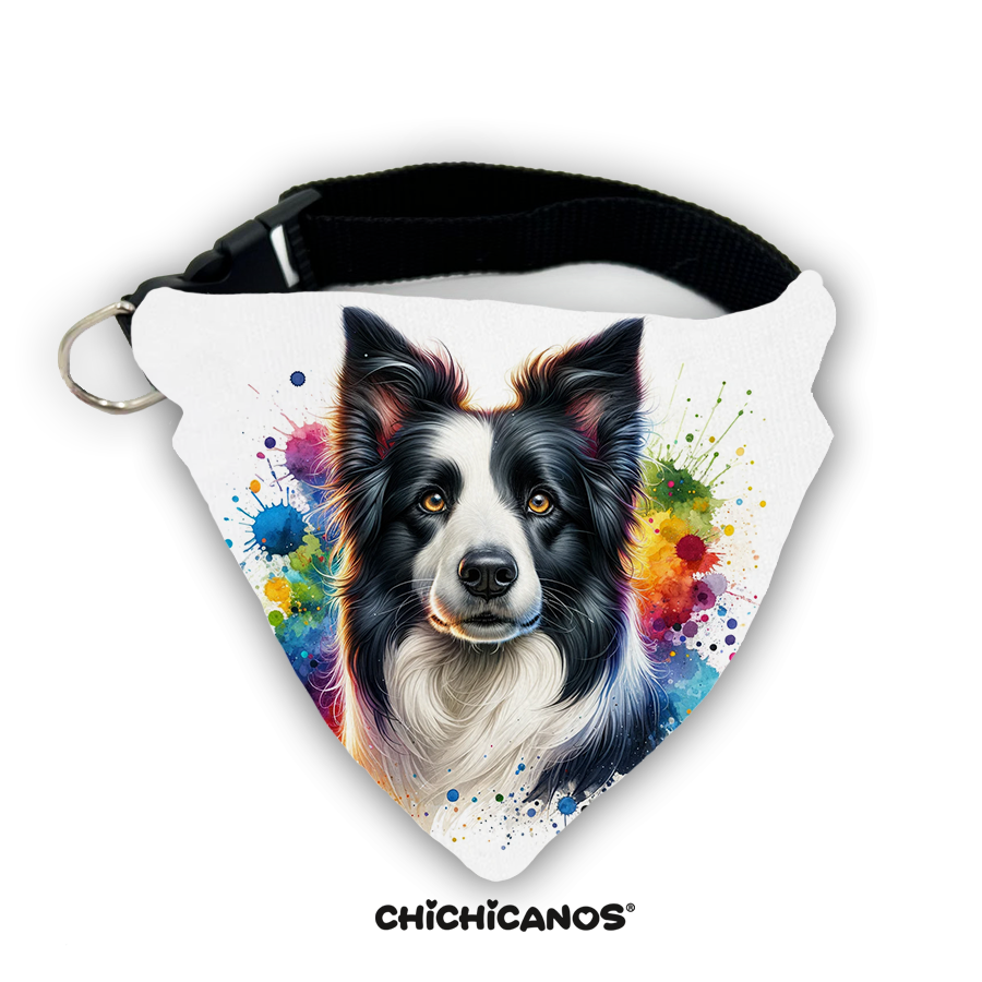 Bandana race de chien