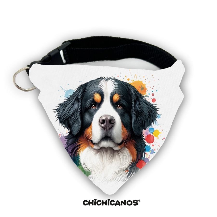 Bandana race de chien