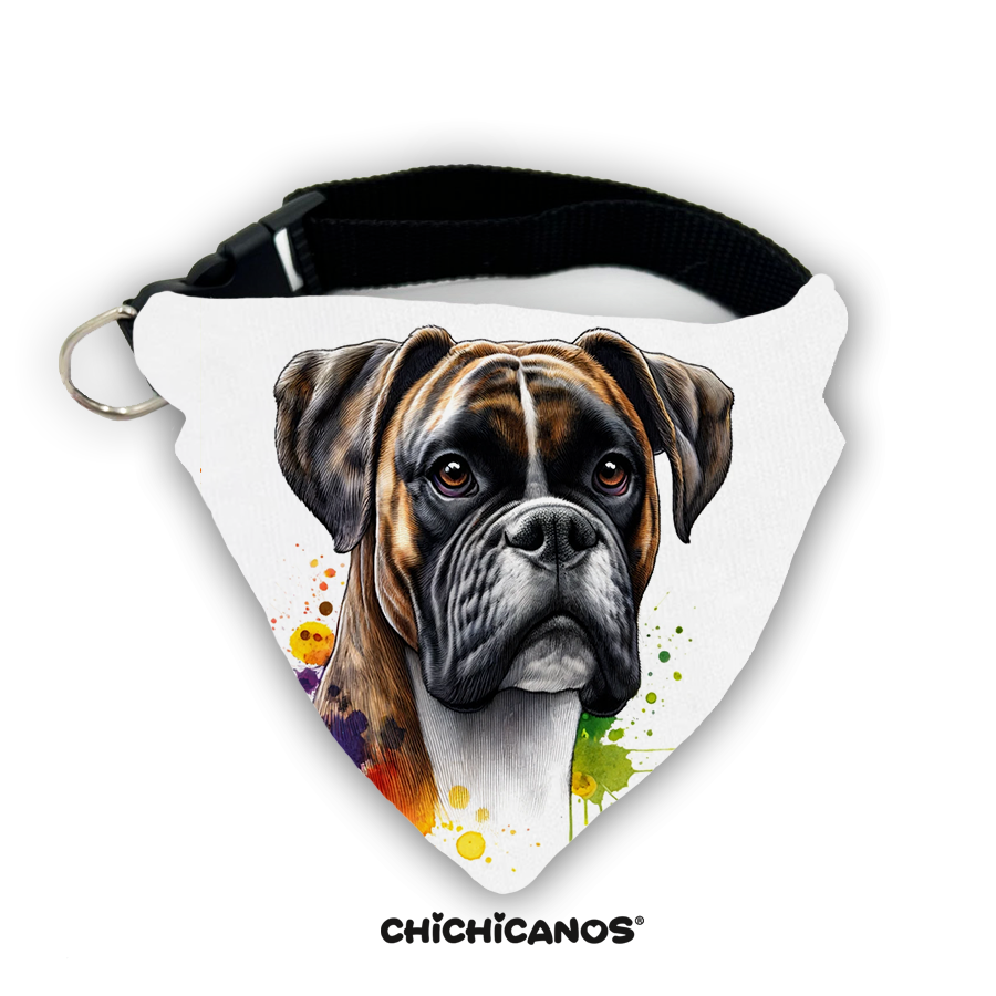 Bandana race de chien