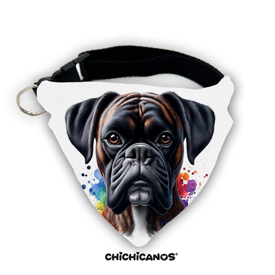 Bandana race de chien