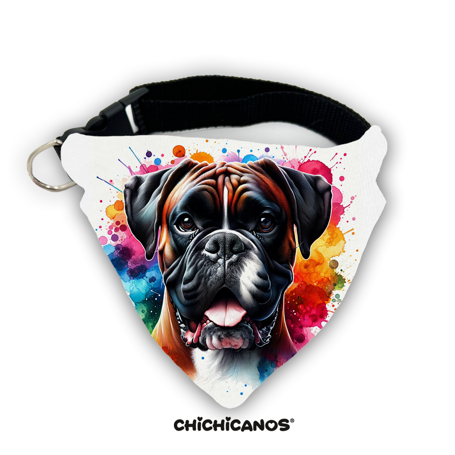 Bandana race de chien