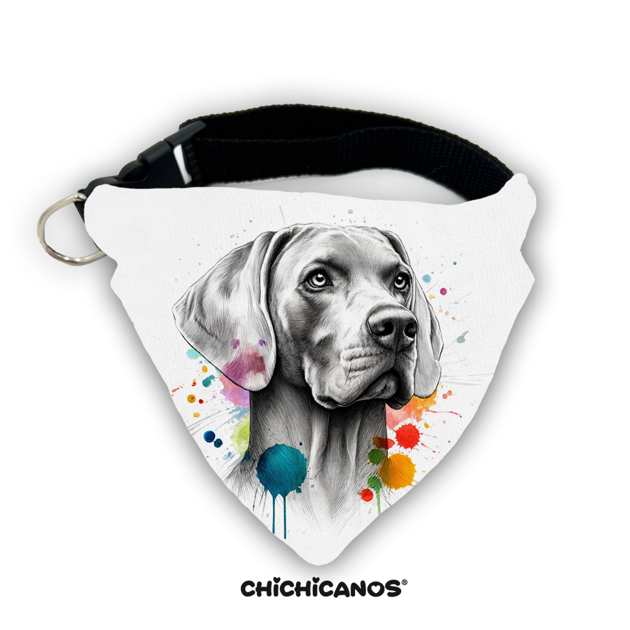 Bandana race de chien