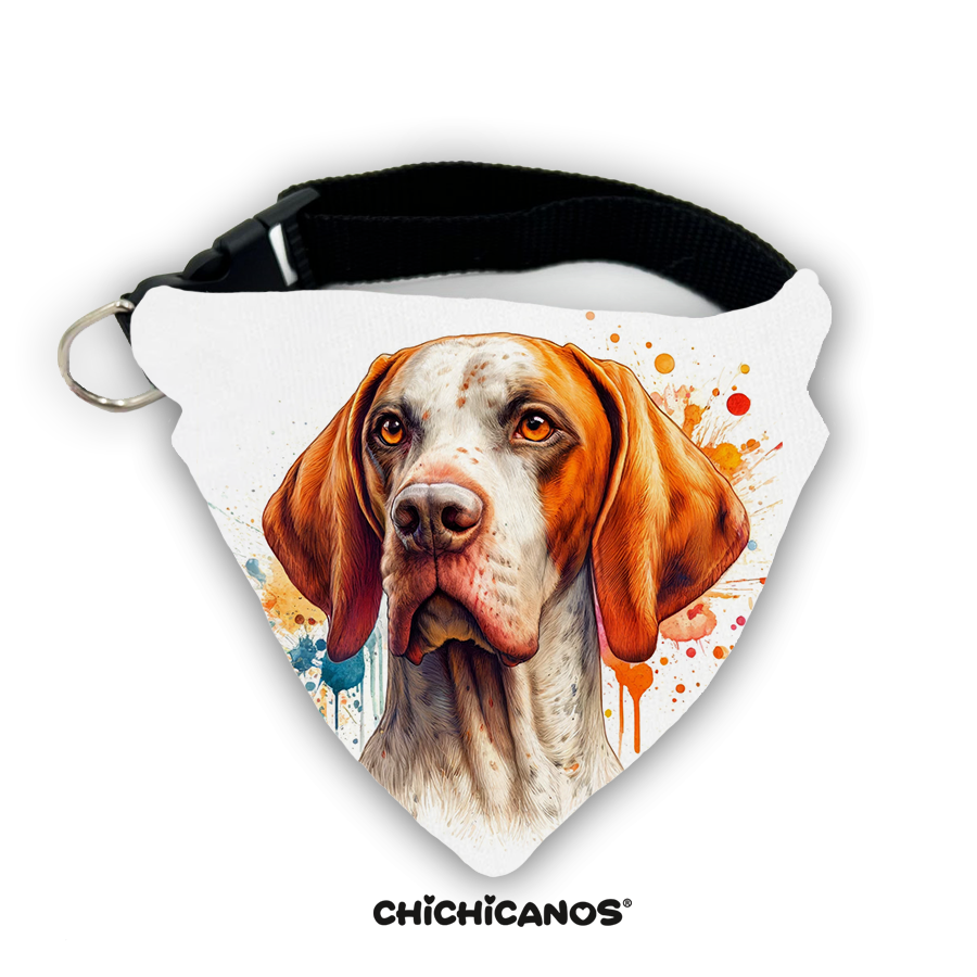 Bandana race de chien