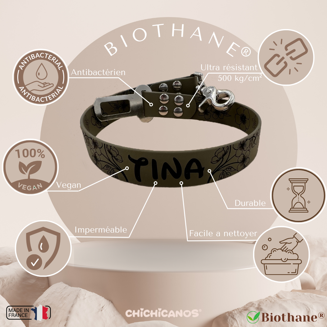 Ceinture personnalisee pour chien et chat en Biothane