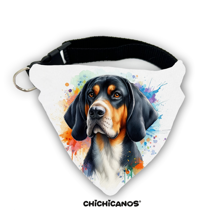 Bandana race de chien