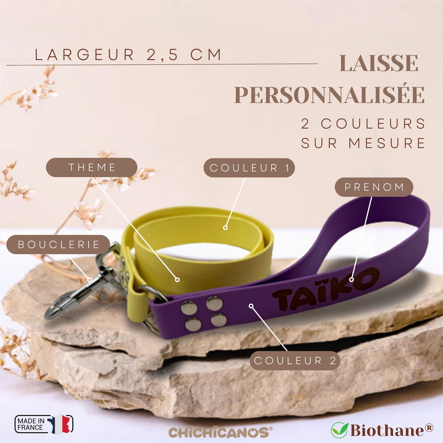 Laisse personnalisée en biothane 2,5 cm (2 couleurs)