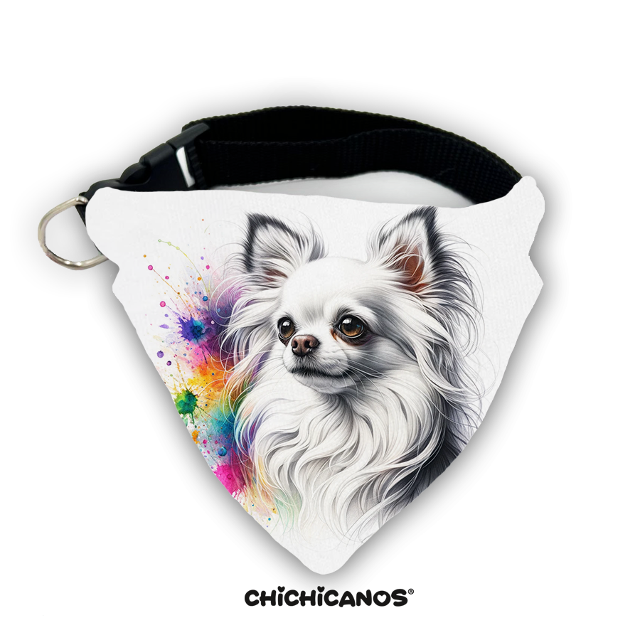 Bandana race de chien