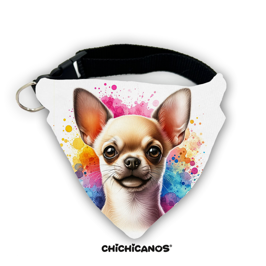 Bandana race de chien