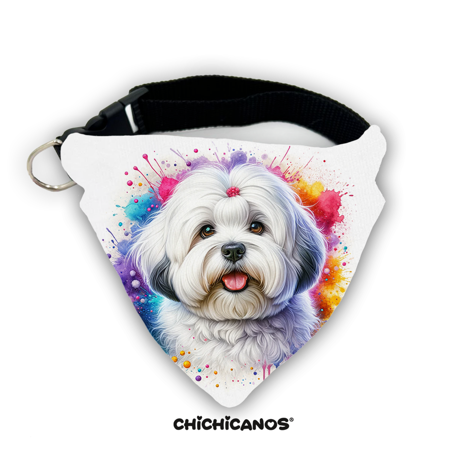 Bandana race de chien
