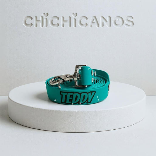 Laisse personnalisee en biothane