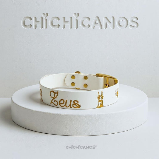 Collier Biothane personnalise