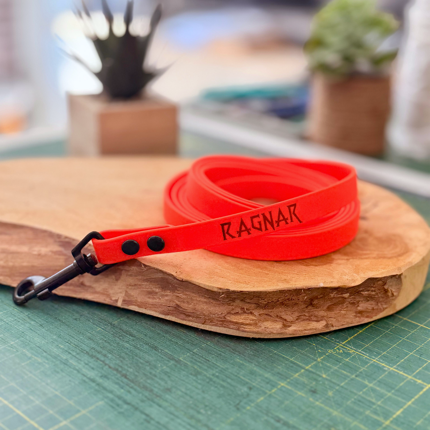 Laisse personnalisee en biothane