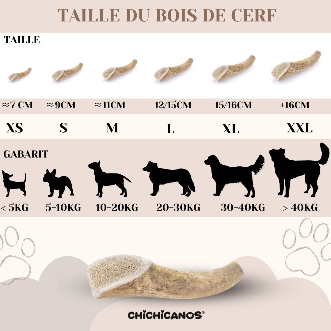 Bois de cerf entier pour chien