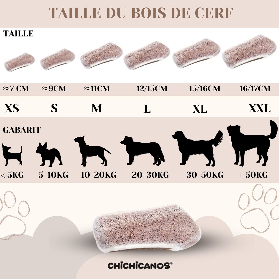 Bois de cerf tranché pour chien