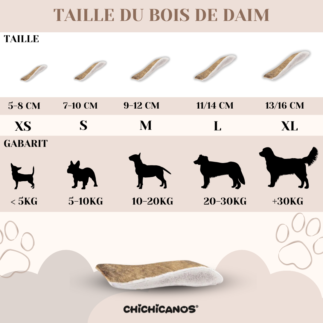 Bois de daim pour chien