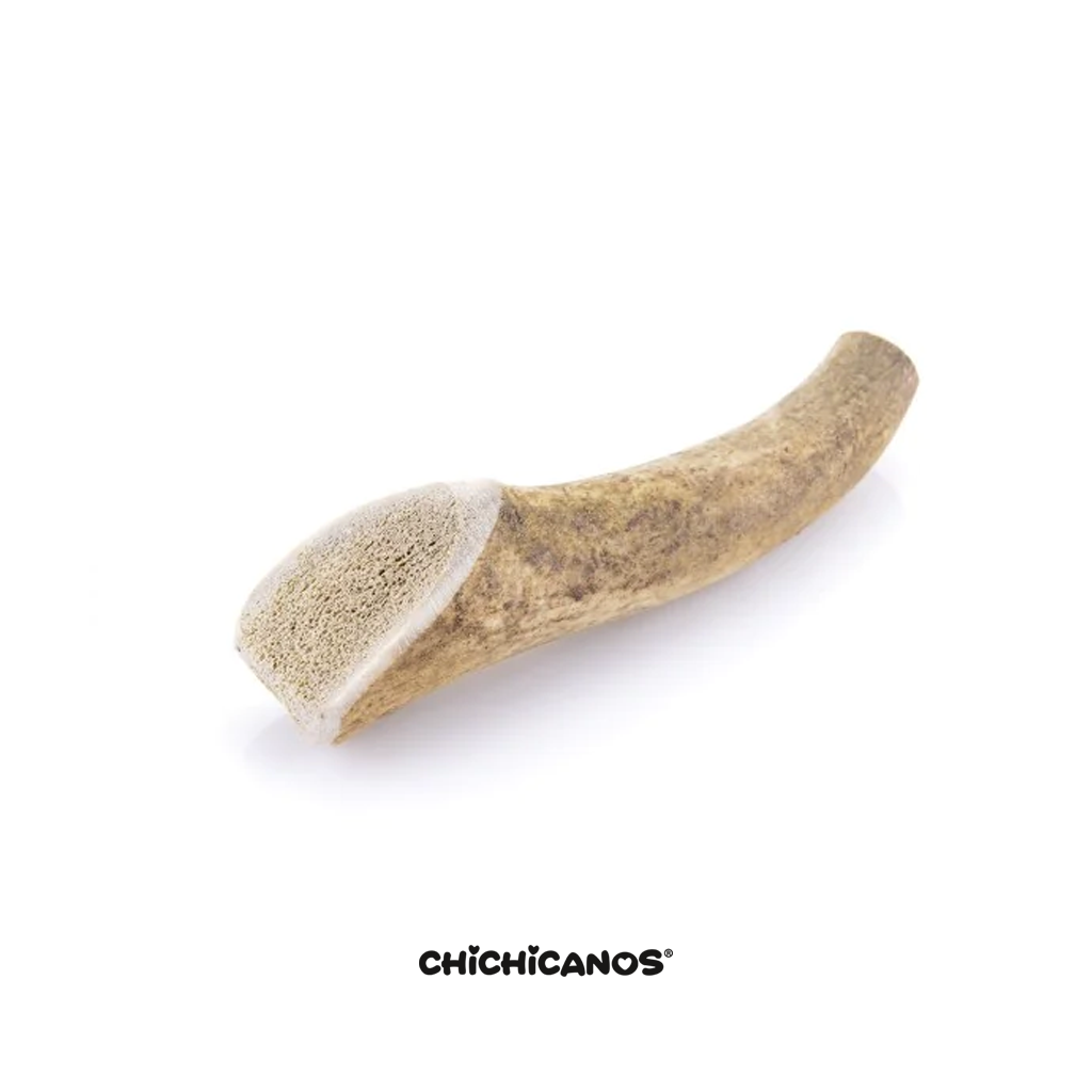 Bois de cerf entier pour chien
