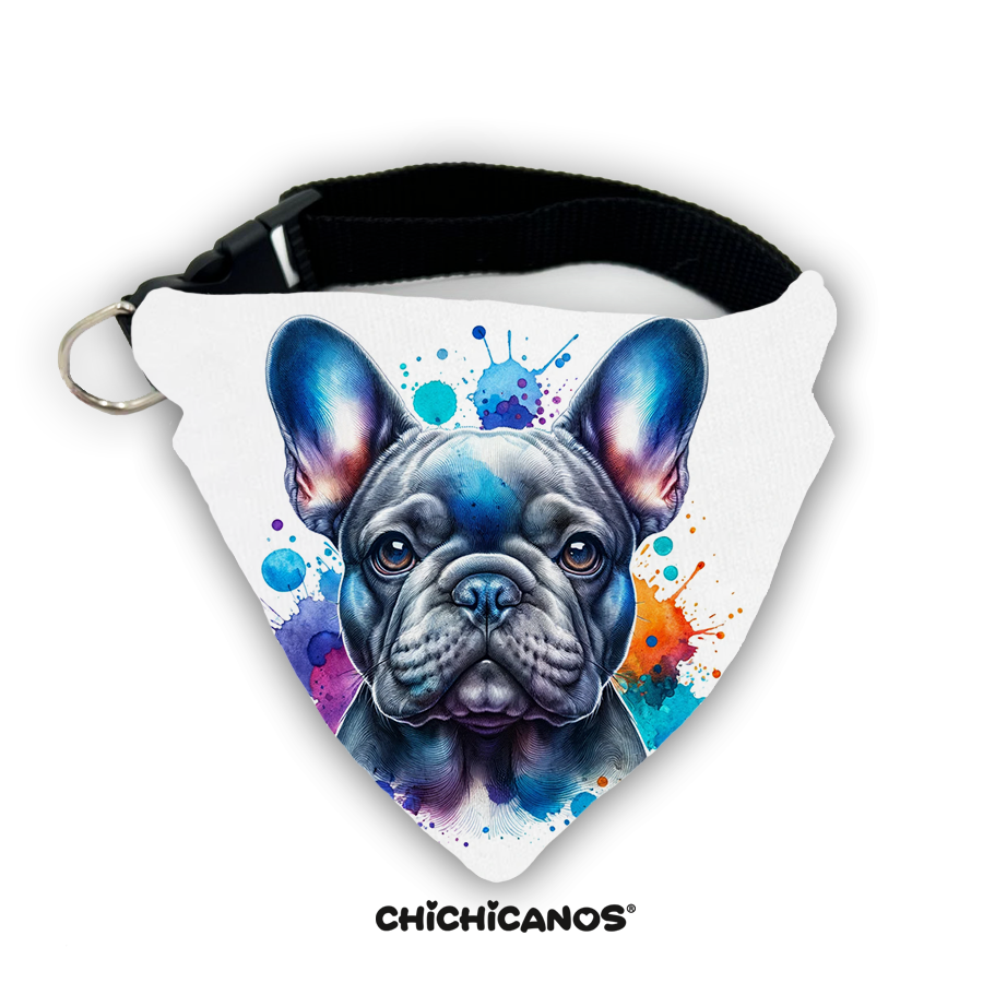 Bandana race de chien