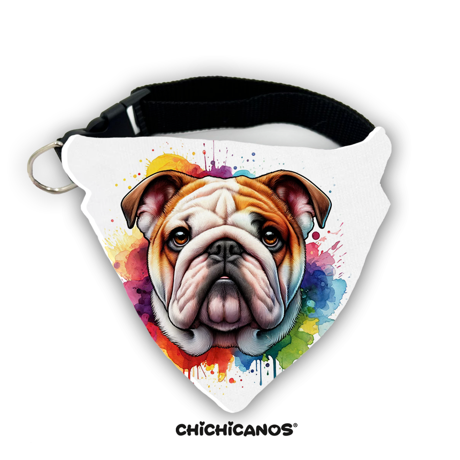 Bandana race de chien