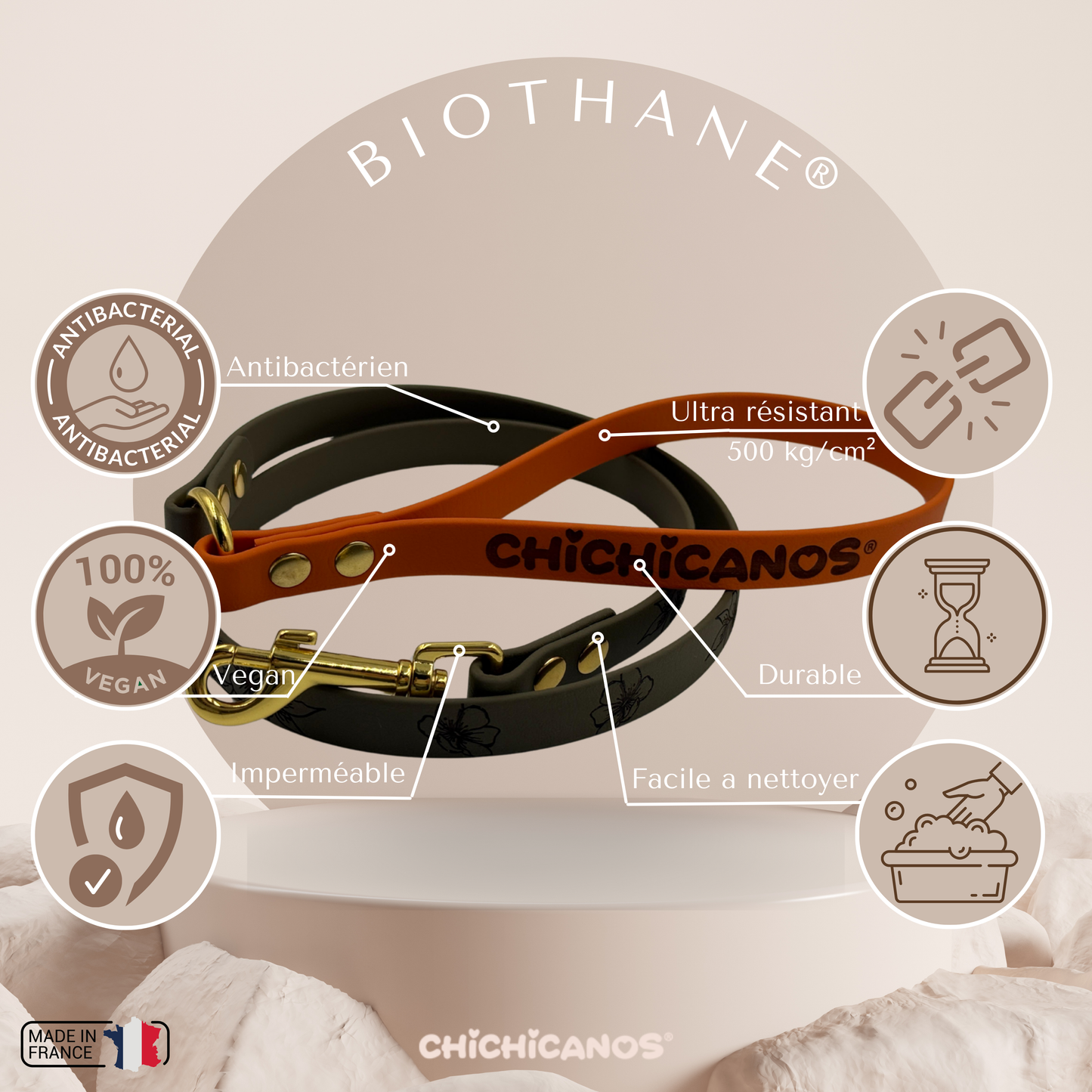 Laisse personnalisée en biothane 1,6 cm (2 couleurs)