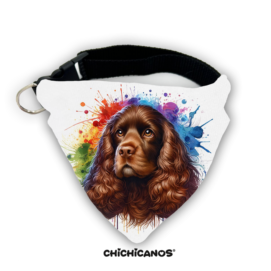 Bandana race de chien