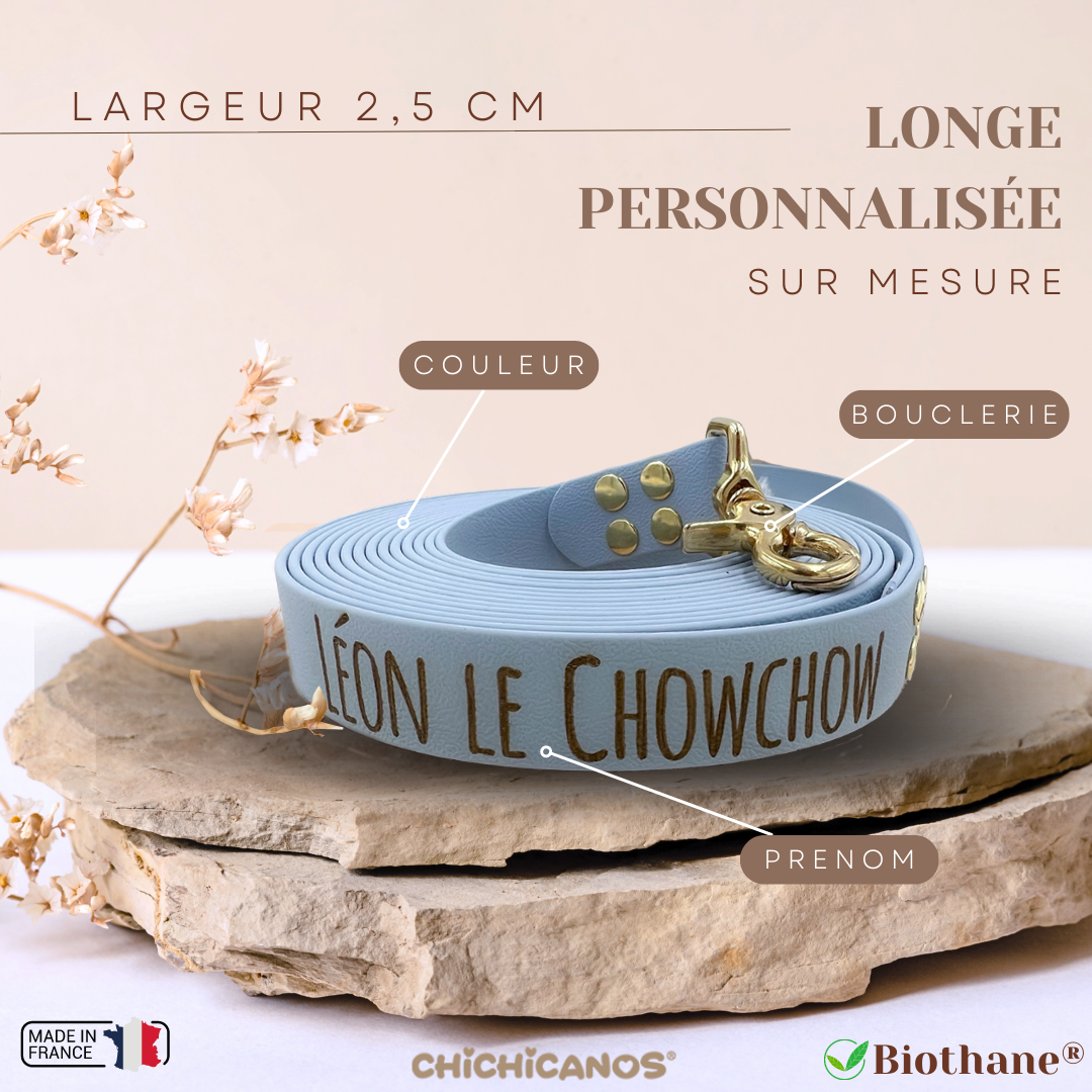 Longe 2,5 cm personnalisée en biothane
