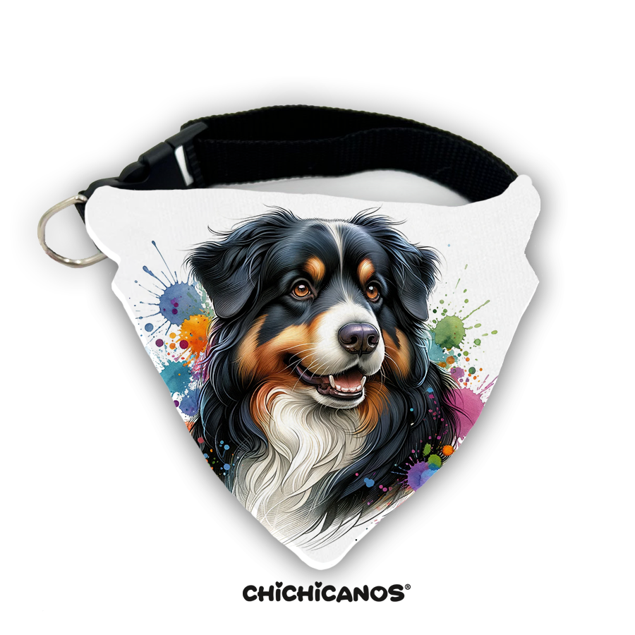 Bandana race de chien