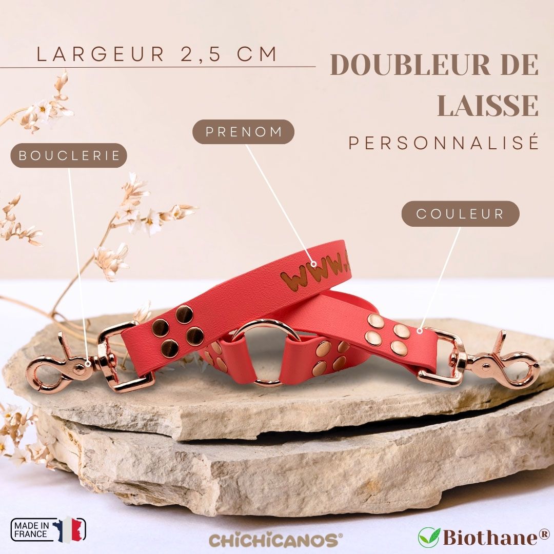 Doubleur de laisse personnalisé pour chien