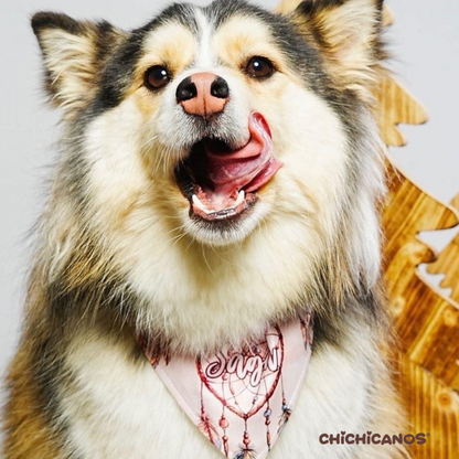 Bandana personnalisé pour chien & chat