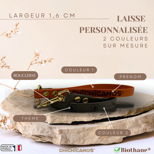 Laisse personnalisée en biothane 1,6 cm (2 couleurs)
