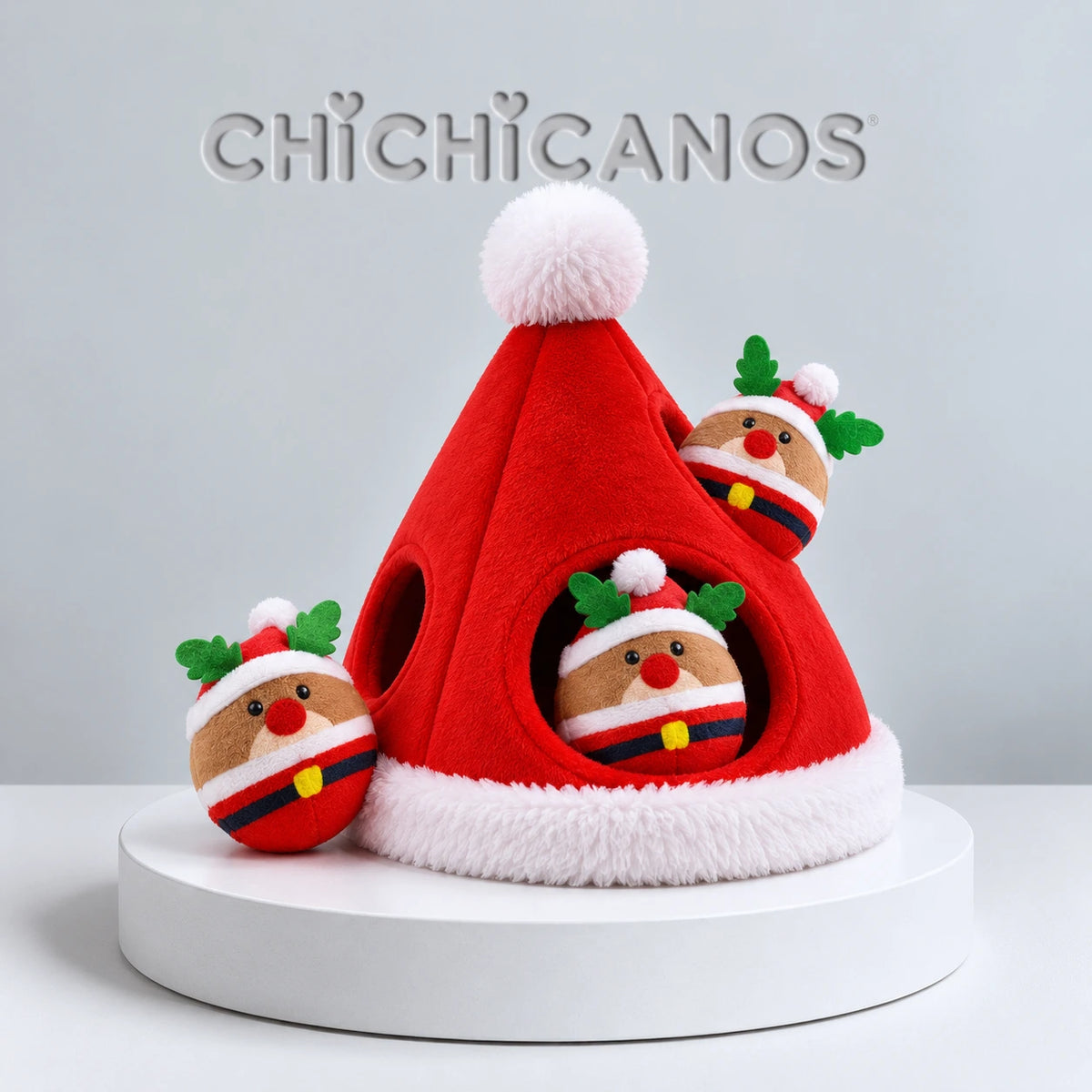 La Box Noël 🎅 8 surprises pour votre chien