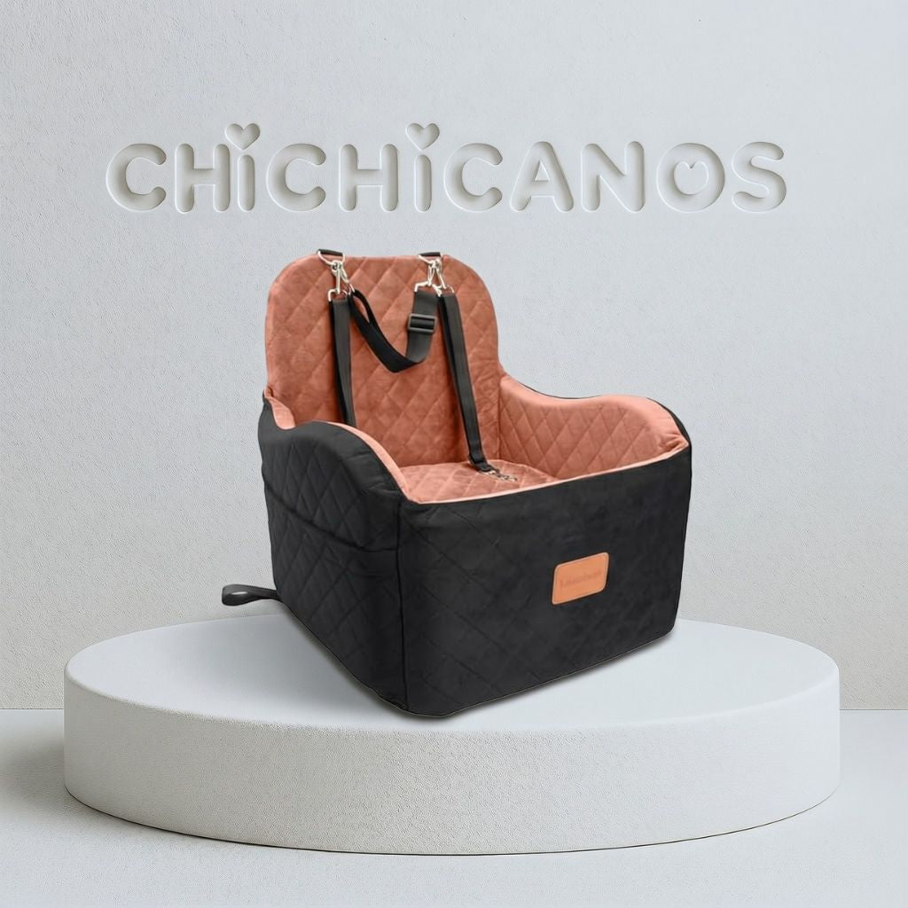 Siege voiture Chichicanos