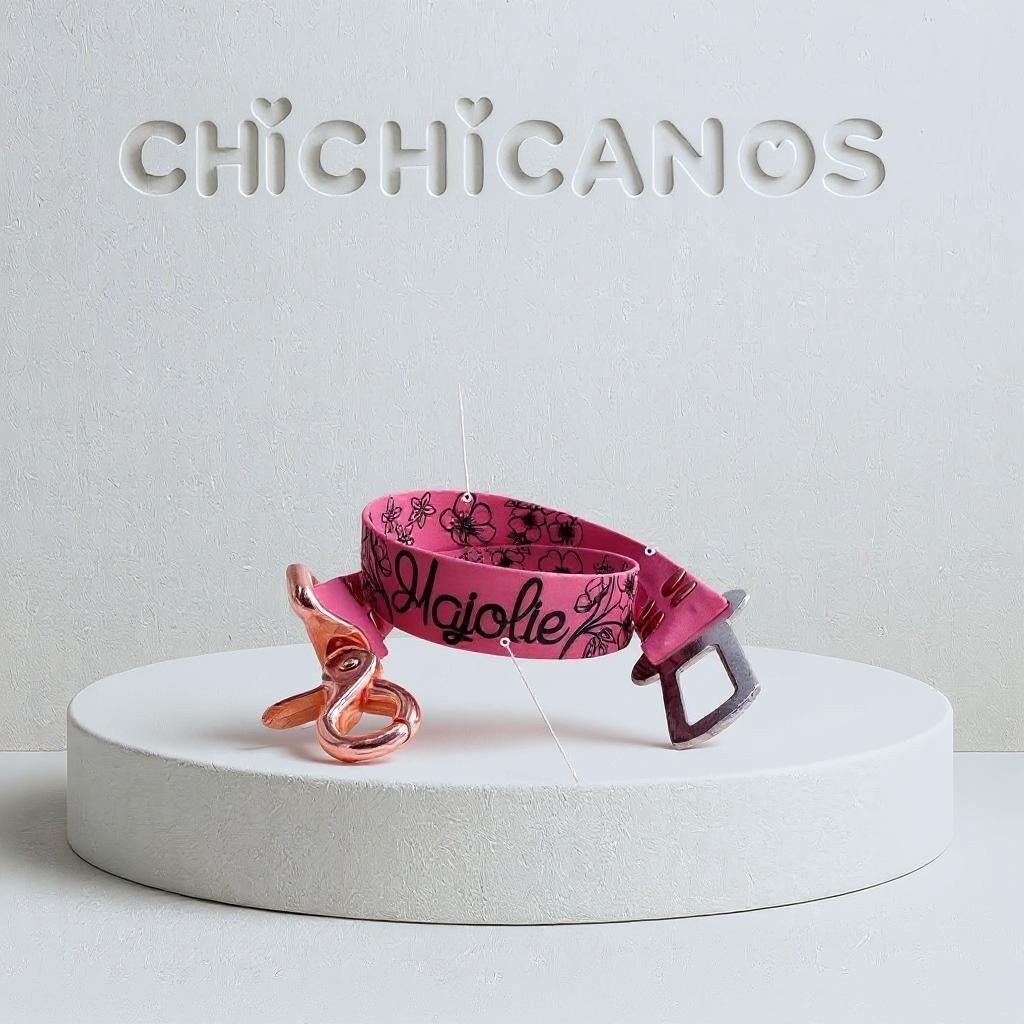 Ceinture personnalisee pour chien et chat en Biothane