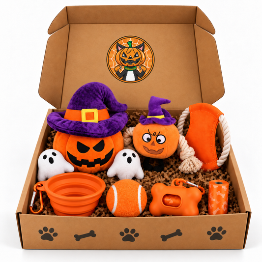 La Box Halloween 🎃 7 surprises pour votre chien