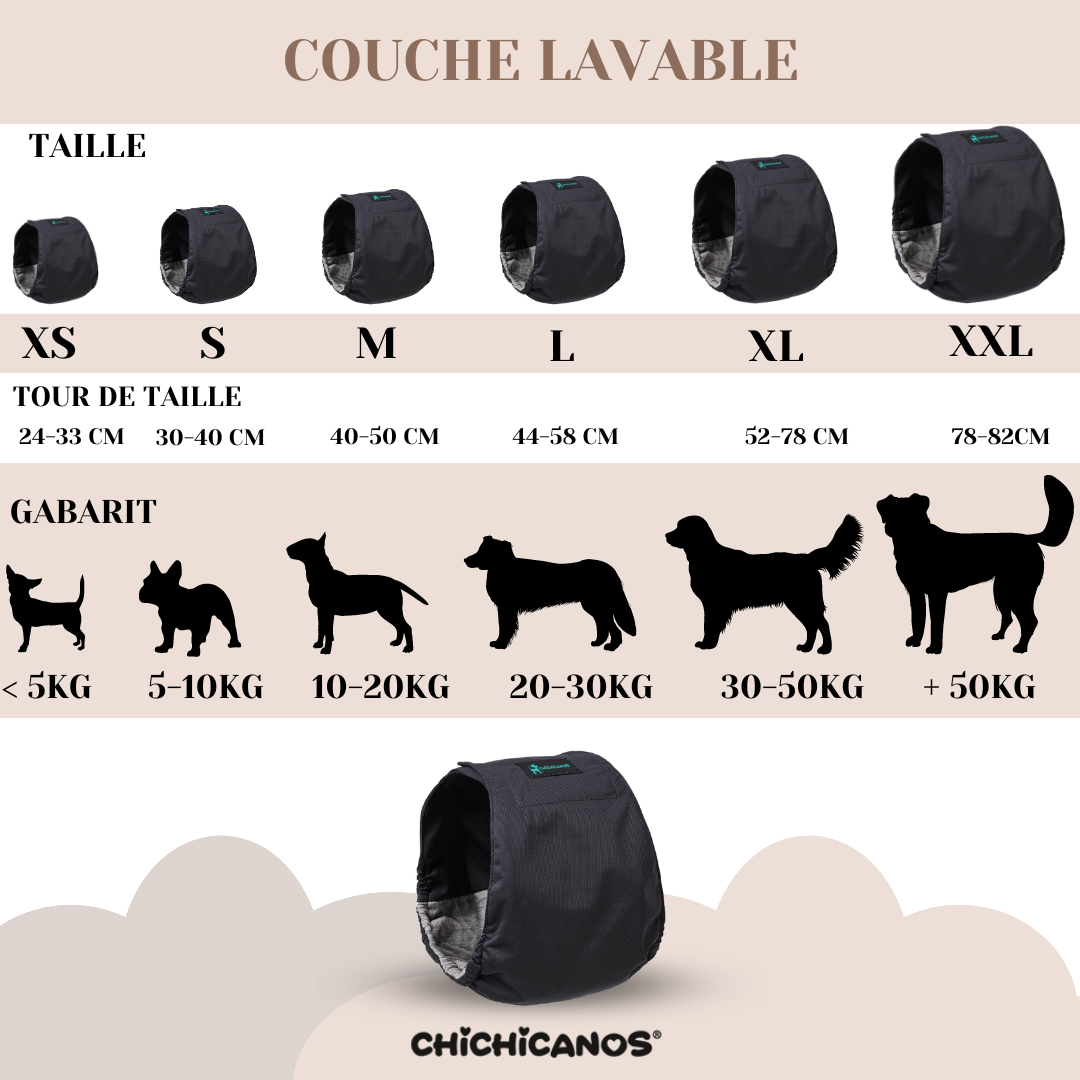 Couches lavables Chichicanos pour chien mâle