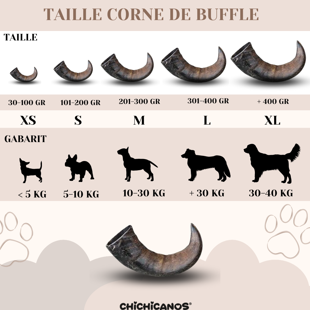 Corne de buffle pour chien