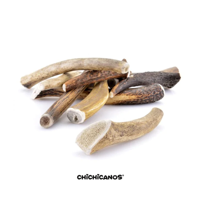 Bois de cerf entier pour chien
